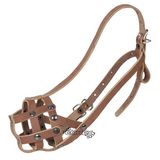 Намордник кожаный №20-с