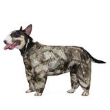 Комбинезон демисезонный "Бультерьер" 48 см