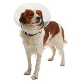 Защитный воротник 25 см