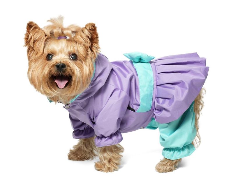 Комбинезон-дождевик "Кокетка" L (32 см)