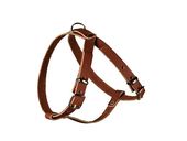 Шлейка кожаная Classic для собак 12 мм, 33-41 см, 35-43 см